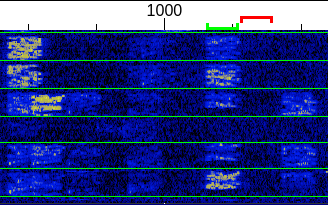 FT8 Waterfall.